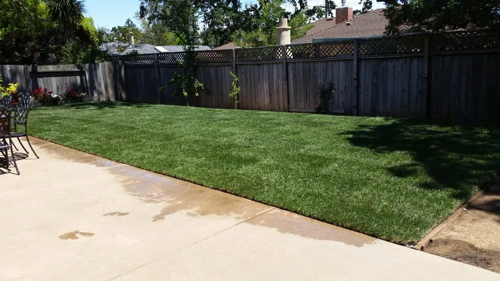 Custom yard cleanup service for outdoor upgrades across Novato, CA - Forevergreen Landscape & Maintenance
