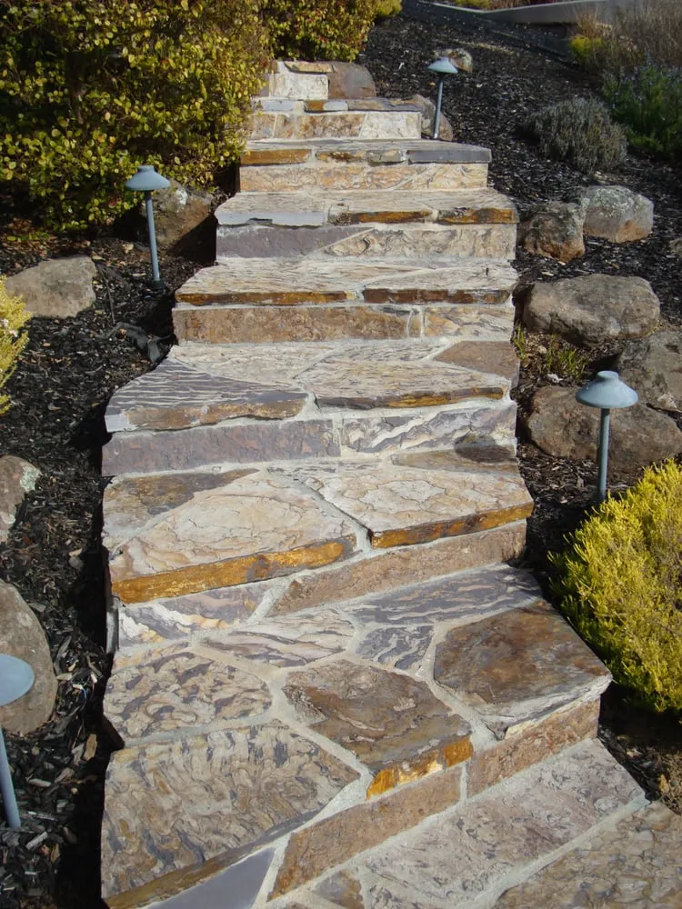 Professional garden landscaping near you in Novato, CA by Forevergreen Landscape & Maintenance