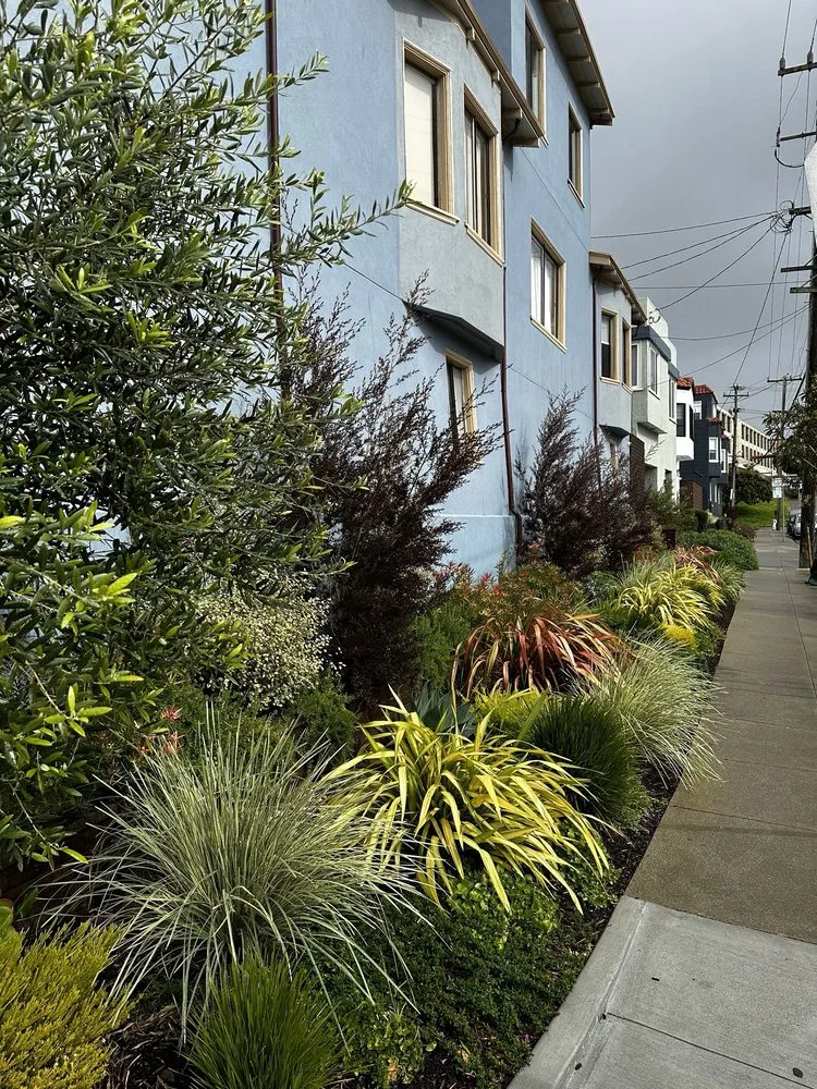 Reliable lawn care service experts serving San Francisco, CA - Forevergreen Landscape