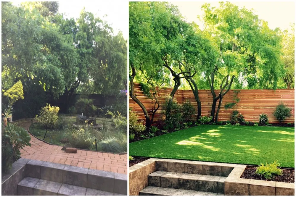 Reliable yard cleanup service for year-round maintenance in San Francisco, CA by Forevergreen Landscape
