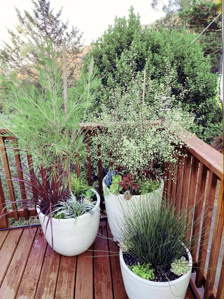 Affordable landscape installation experts serving San Francisco, CA - Forevergreen Landscape
