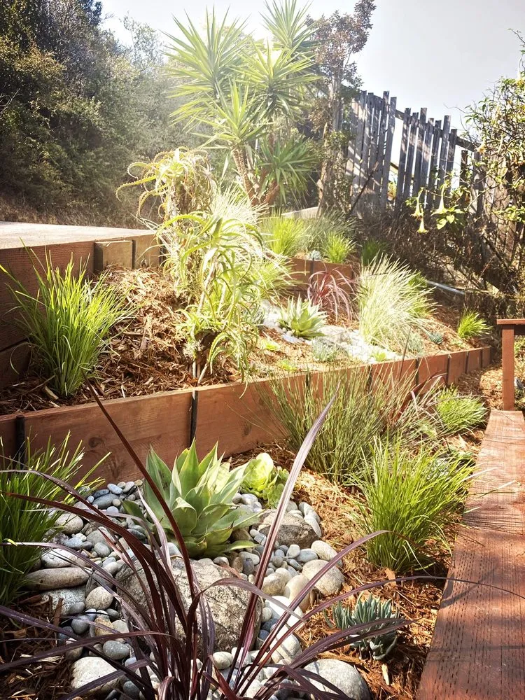 Local landscape design in San Francisco, CA - Forevergreen Landscape