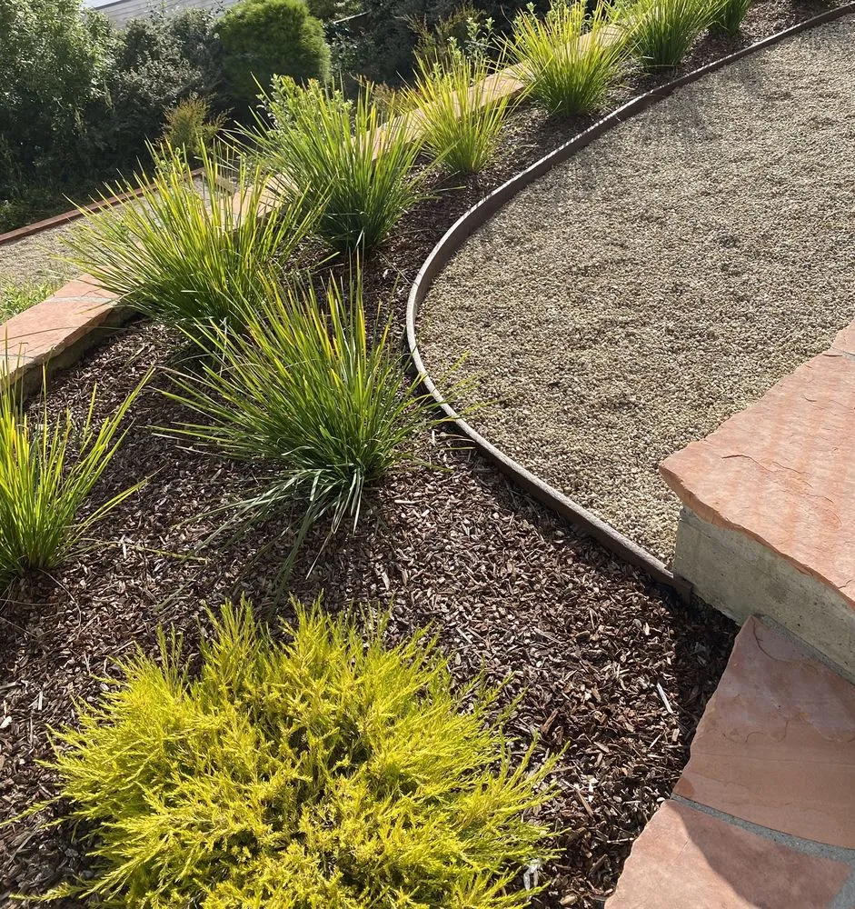 Reliable lawn mowing service for year-round maintenance in San Francisco, CA by Forevergreen Landscape