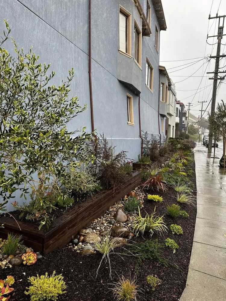 Custom outdoor landscaping for homes across San Francisco, CA - Forevergreen Landscape