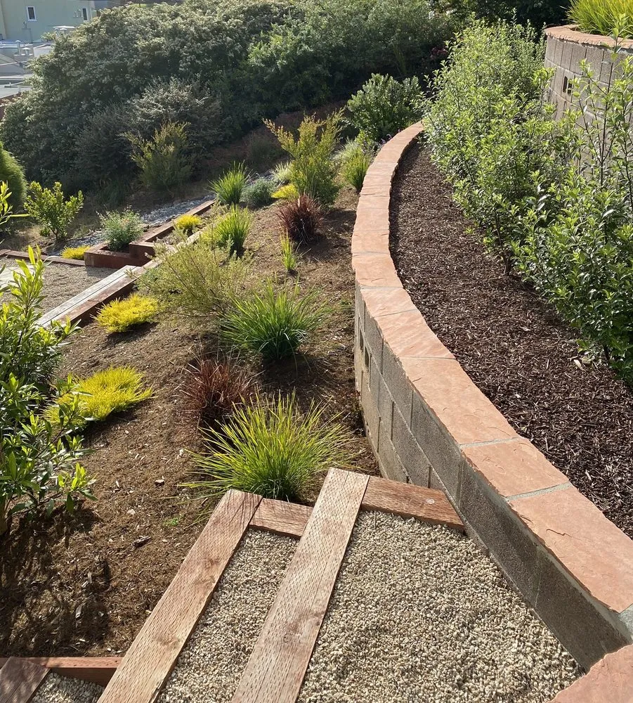 Custom garden landscaping experts serving San Francisco, CA - Forevergreen Landscape