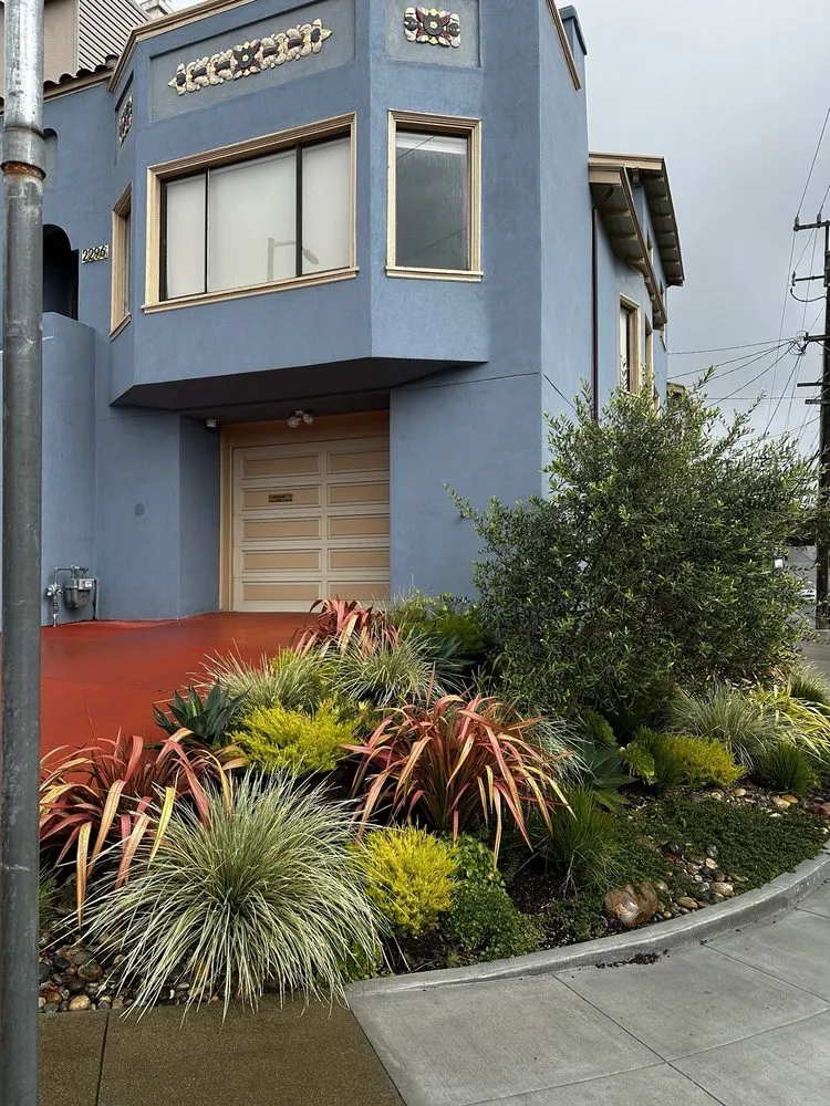 Expert outdoor landscaping in San Francisco, CA - Forevergreen Landscape