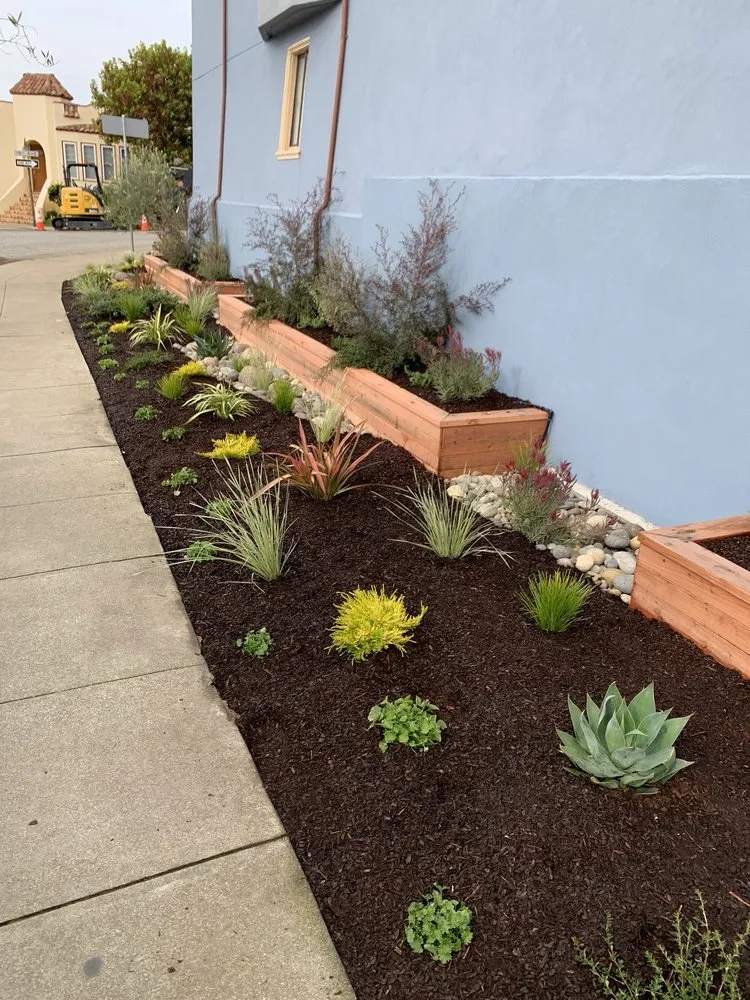 Trusted outdoor landscaping experts serving San Francisco, CA - Forevergreen Landscape