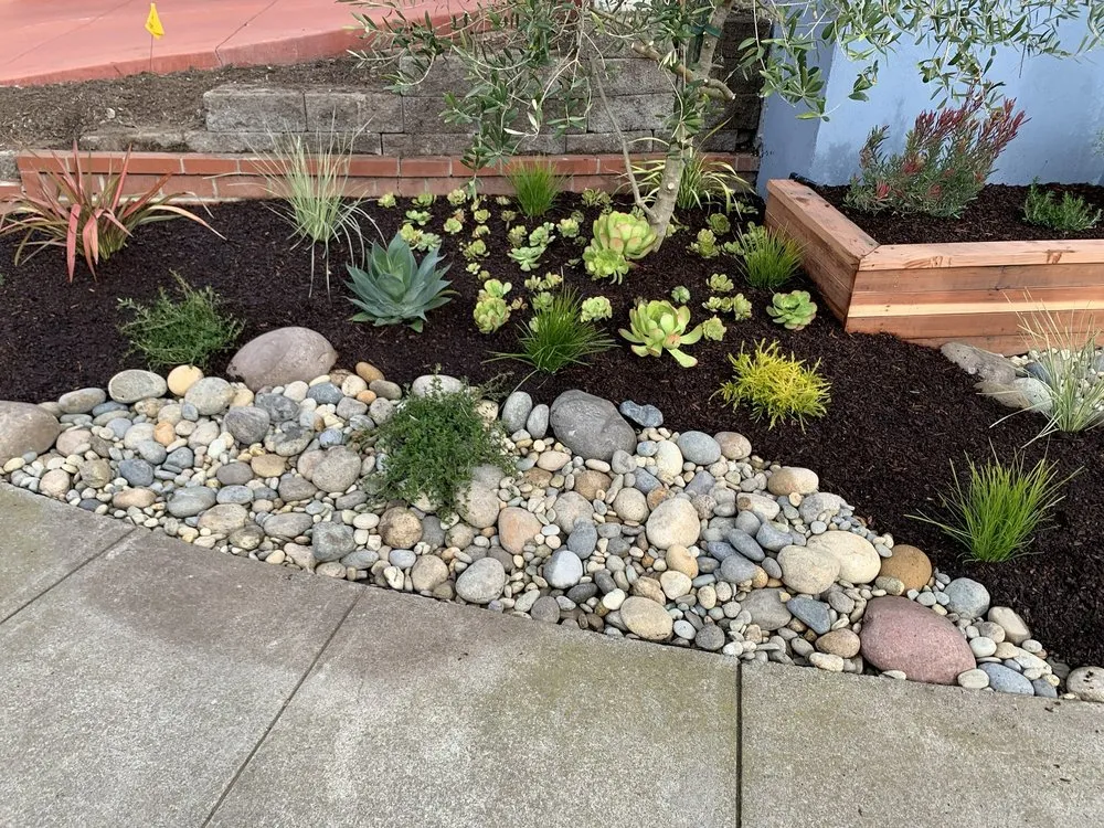 Custom garden landscaping in San Francisco, CA by Forevergreen Landscape