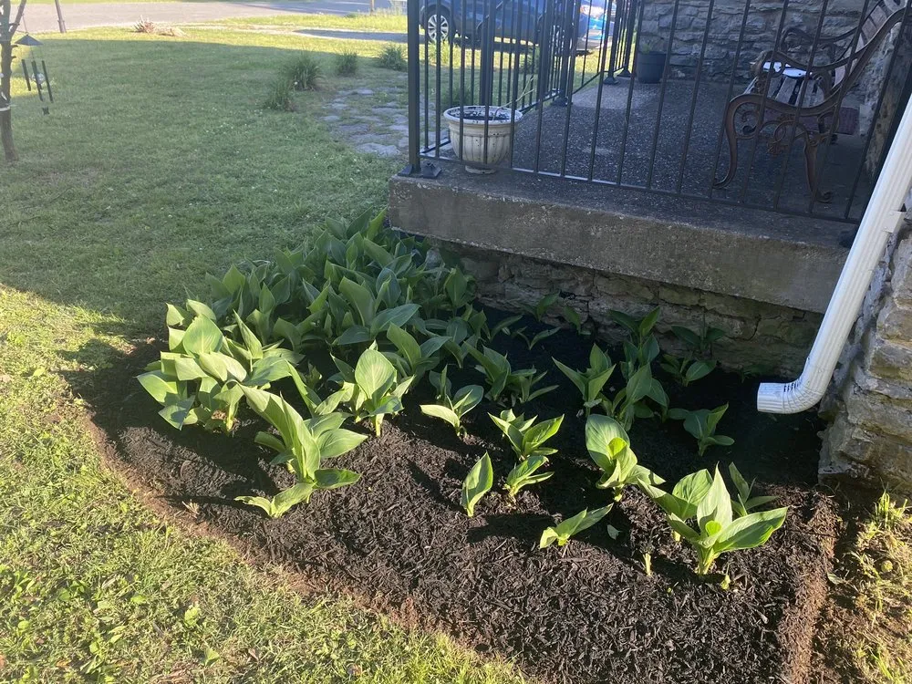 Expert residential landscaping for year-round maintenance across Nashville, TN - ForeverGreen Lawn Care