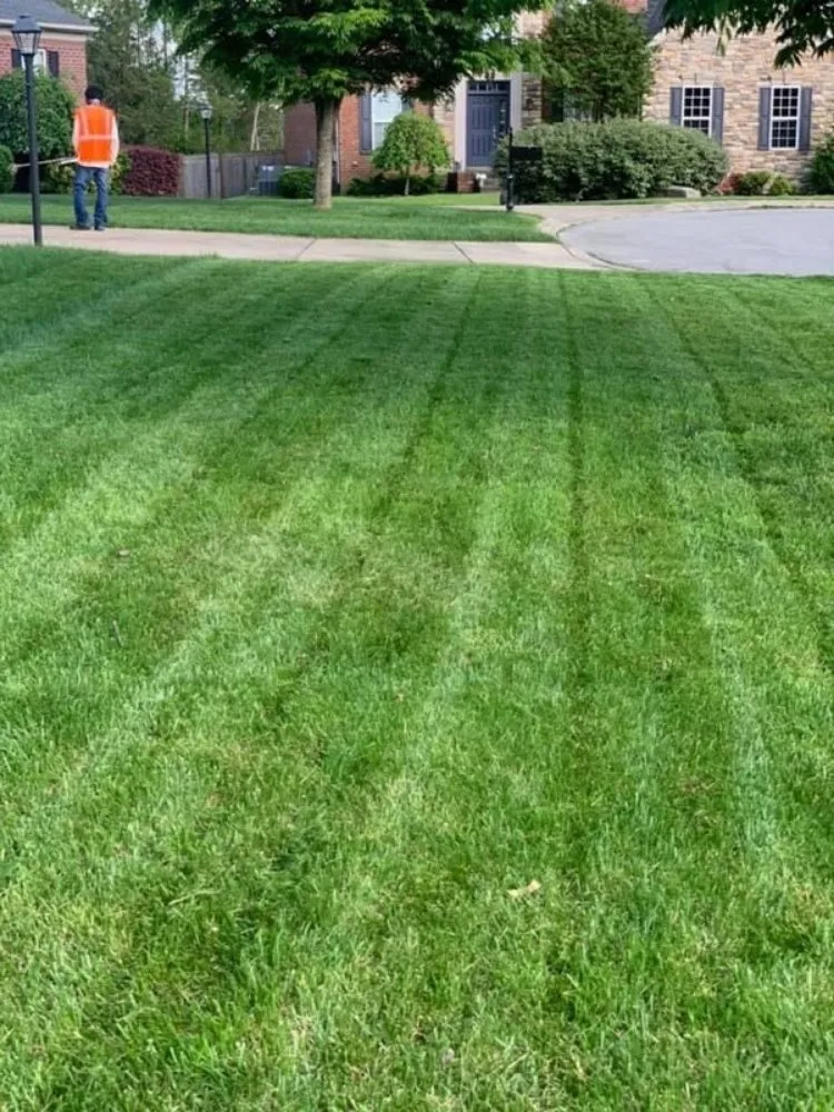 Professional outdoor landscaping experts serving Nashville, TN - ForeverGreen Lawn Care