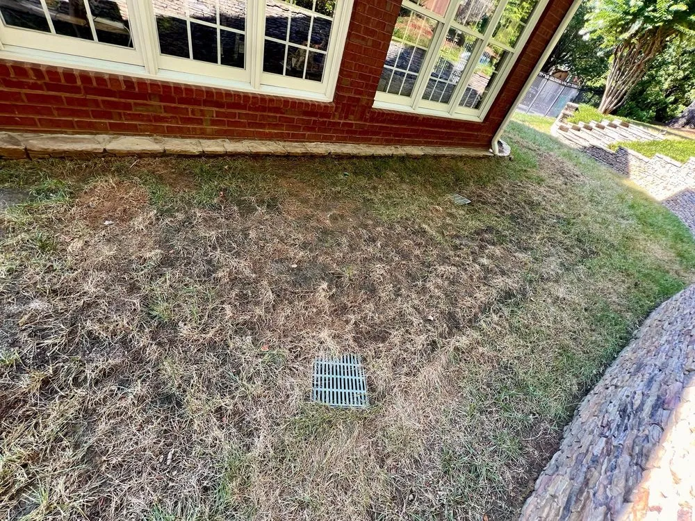 Reliable yard maintenance experts serving Loganville, GA - Forevergro