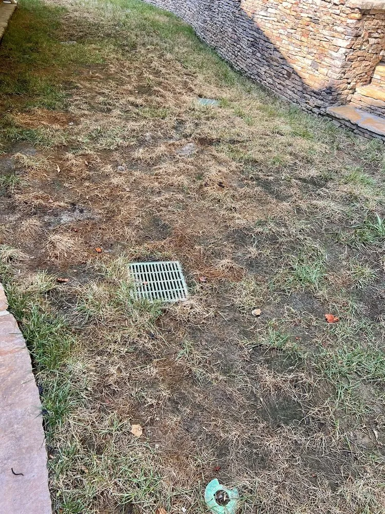 Expert lawn mowing service for homes in Loganville, GA by Forevergro