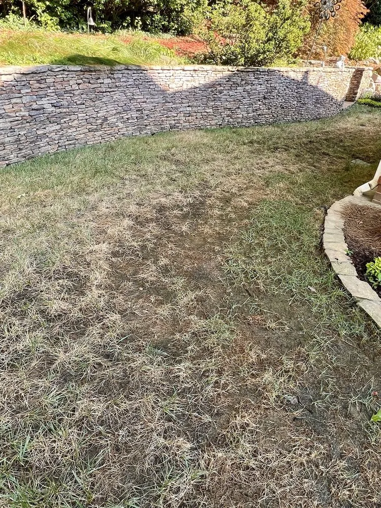 Custom landscaping services in Loganville, GA - Forevergro