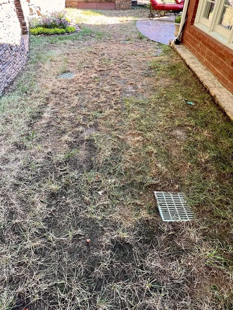 Top-rated landscaping services for homes across Loganville, GA - Forevergro