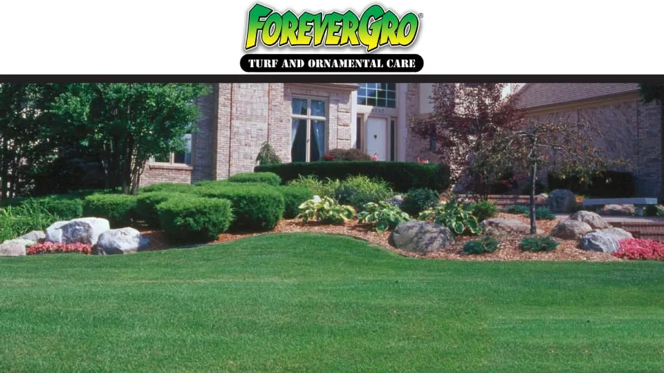 Reliable residential landscaping experts serving Loganville, GA - Forevergro