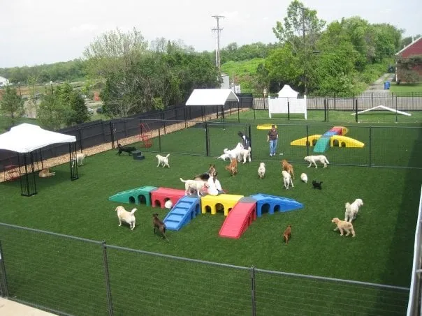 Expert landscape installation in Avon-by-the-Sea, NJ - Foreverlawn At the Shore