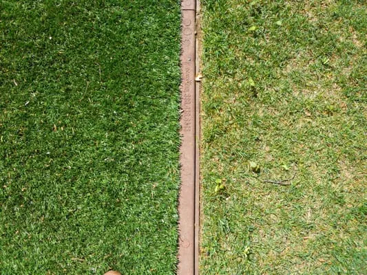 Foreverlawn At the Shore