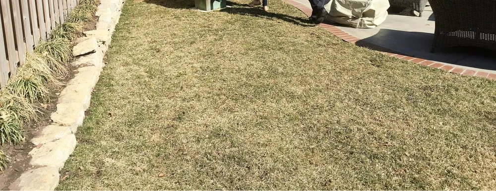 Expert outdoor landscaping for residential properties across De Soto, KS - ForeverLawn Kansas City