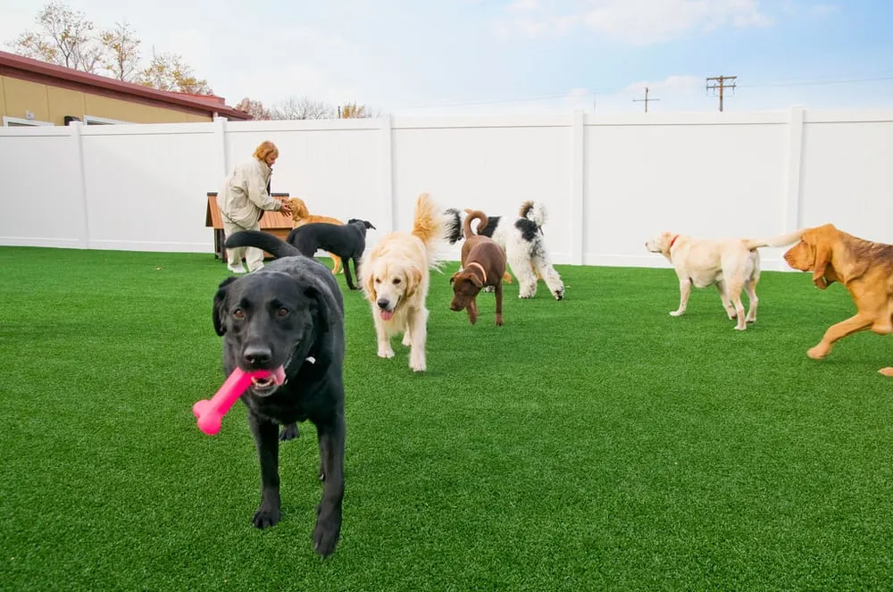 Top-rated landscape design experts serving De Soto, KS - ForeverLawn Kansas City