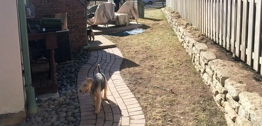 Local residential landscaping for residential properties across De Soto, KS - ForeverLawn Kansas City