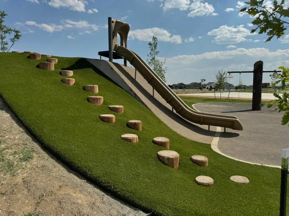 Professional yard maintenance near you in Colorado Springs, CO by ForeverLawn Mile High