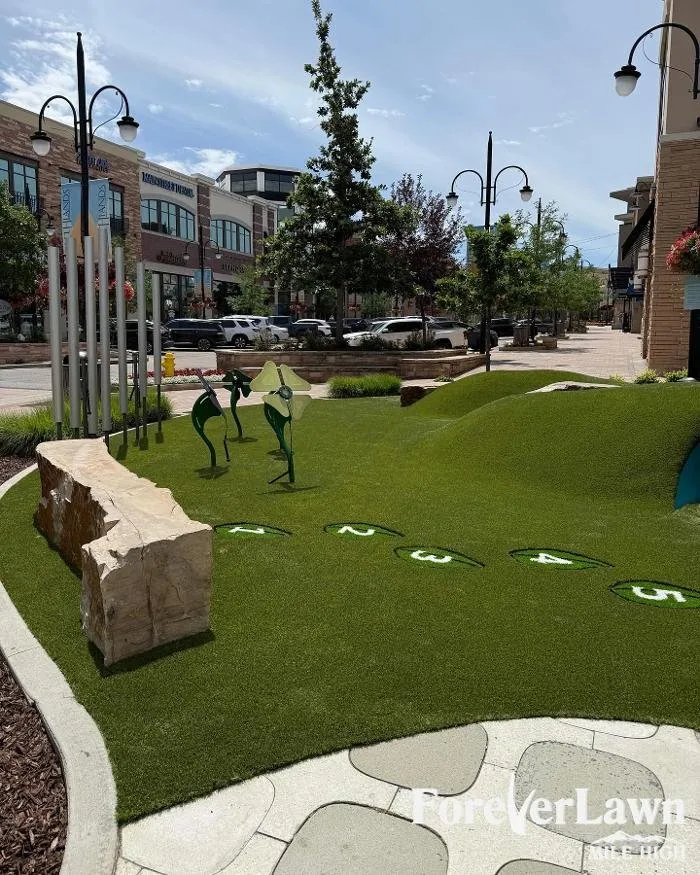 Affordable landscaping services for homes in Colorado Springs, CO by ForeverLawn Mile High