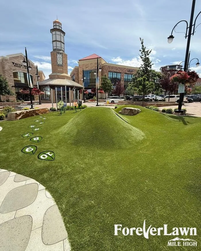 Custom yard maintenance in Colorado Springs, CO - ForeverLawn Mile High