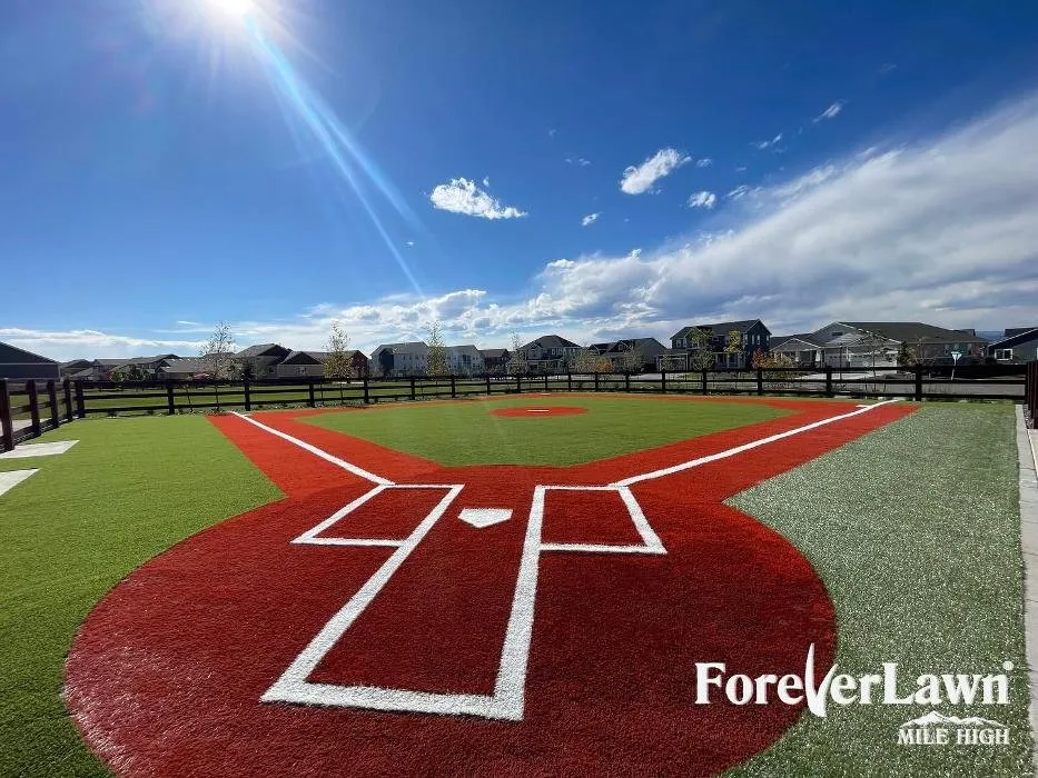 Reliable lawn care service experts serving Colorado Springs, CO - ForeverLawn Mile High