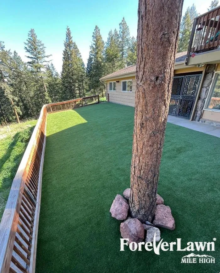 Trusted landscaping services experts serving Colorado Springs, CO - ForeverLawn Mile High