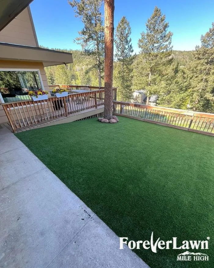 Trusted yard maintenance in Colorado Springs, CO - ForeverLawn Mile High