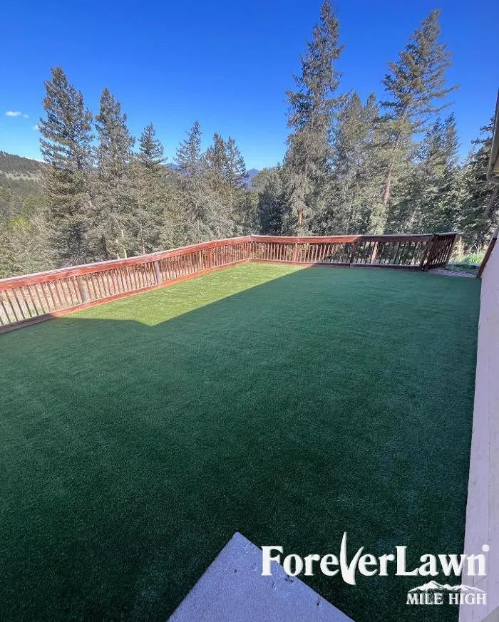 Affordable landscape design in Colorado Springs, CO by ForeverLawn Mile High