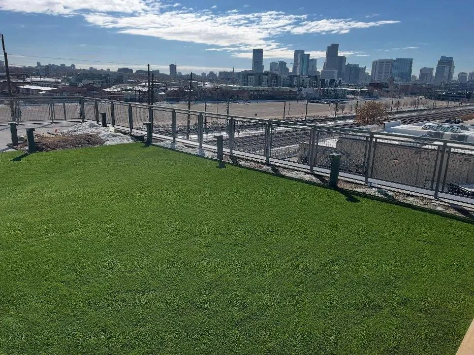 Trusted yard cleanup service for residential properties across Colorado Springs, CO - ForeverLawn Mile High