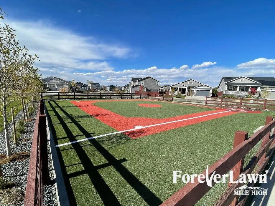 Custom landscaping services experts serving Colorado Springs, CO - ForeverLawn Mile High