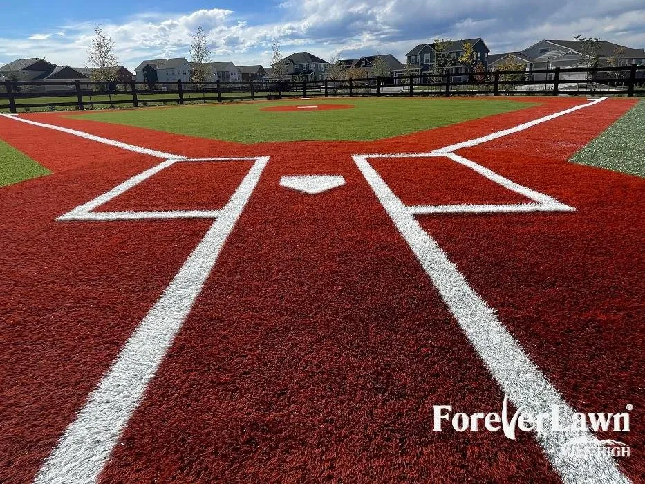 Trusted lawn care service in Colorado Springs, CO by ForeverLawn Mile High