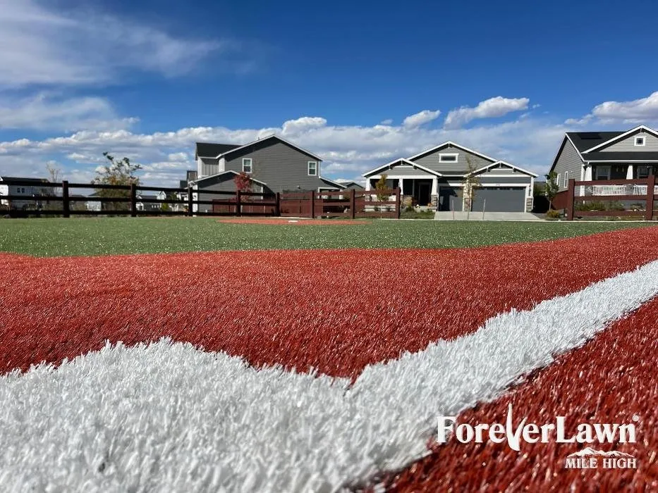 Expert yard maintenance in Colorado Springs, CO - ForeverLawn Mile High
