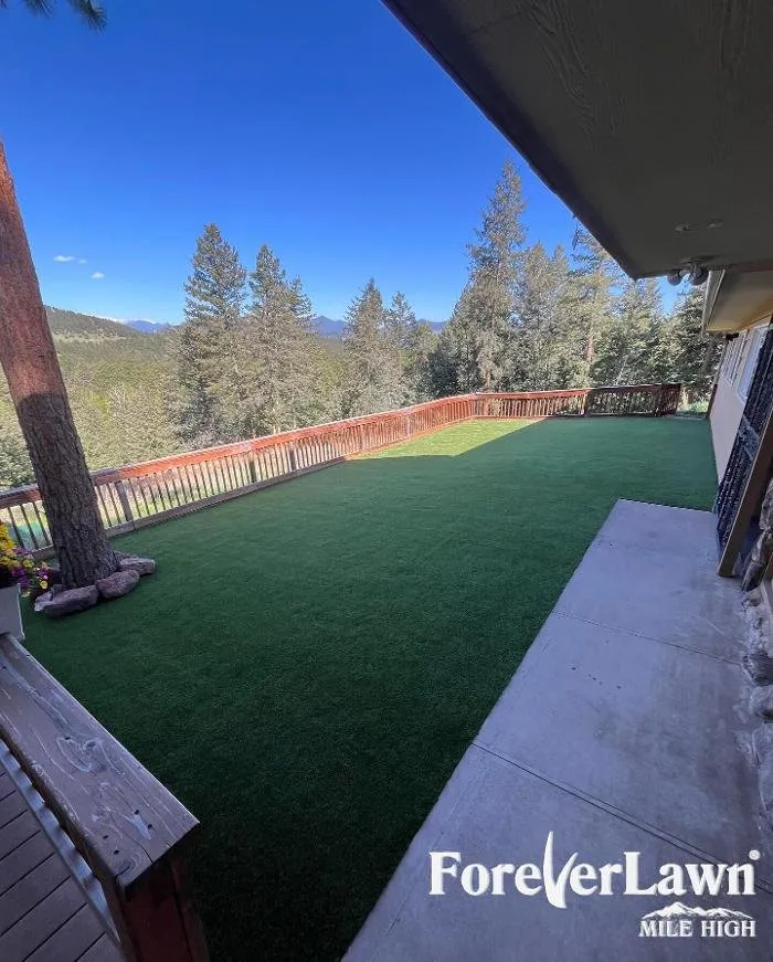 Expert landscape installation in Colorado Springs, CO - ForeverLawn Mile High