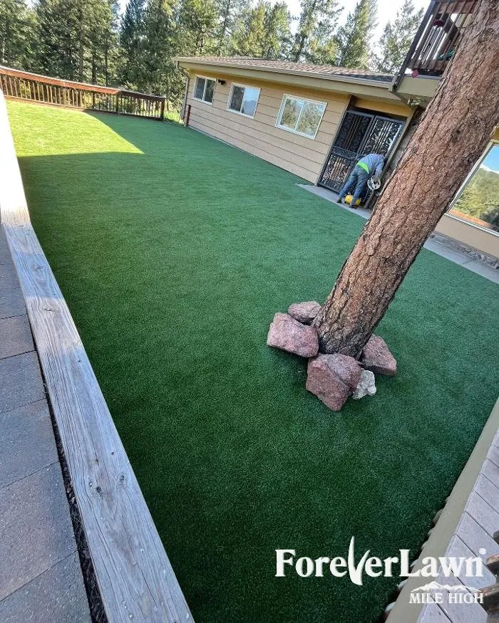 Affordable garden landscaping for residential properties across Colorado Springs, CO - ForeverLawn Mile High