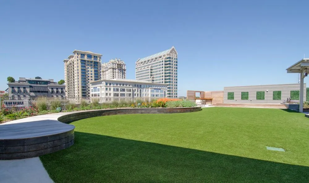 Professional yard maintenance experts serving Loganville, GA - ForeverLawn NCGA - Atlanta Artificial Turf