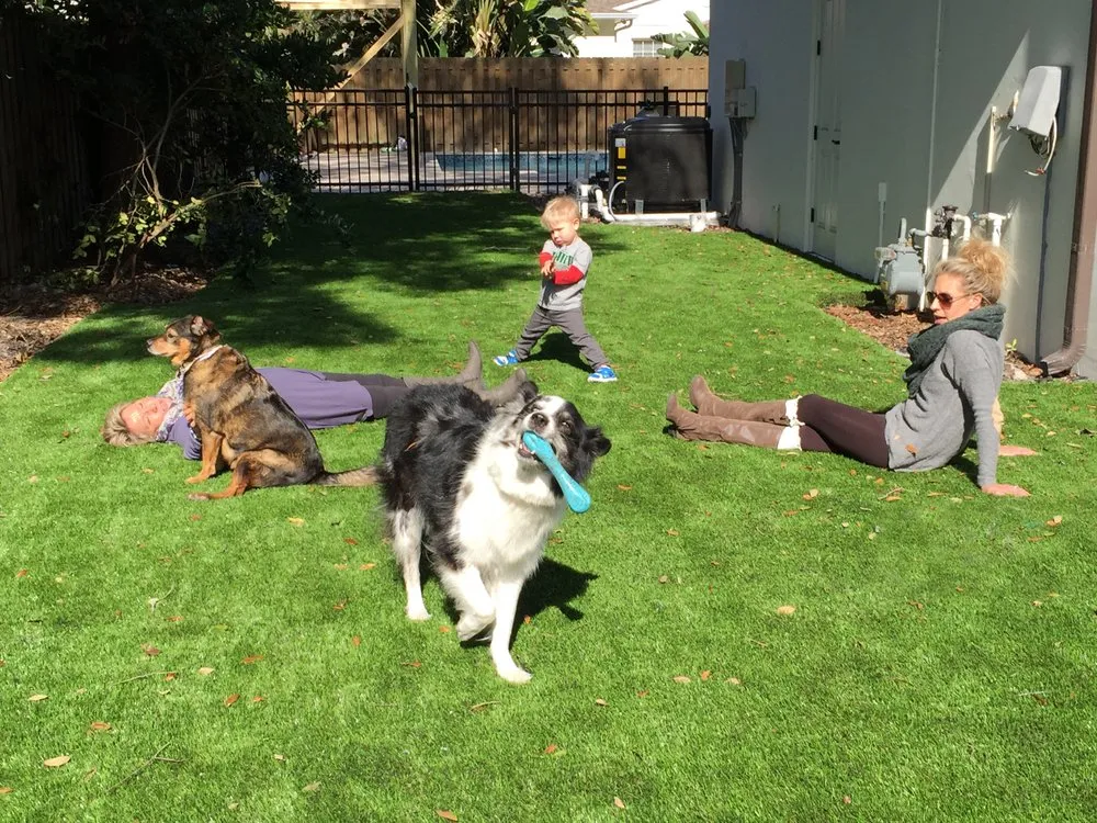 Professional yard maintenance experts serving Tampa, FL - ForeverLawn of Tampa Bay