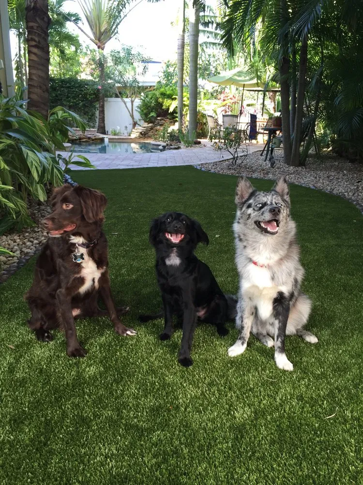 Custom landscaping services in Tampa, FL - ForeverLawn of Tampa Bay