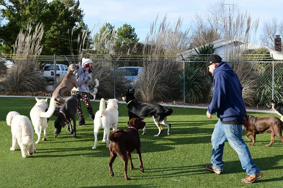 Local residential landscaping near you across Springfield, MO - ForeverLawn of the Ozarks