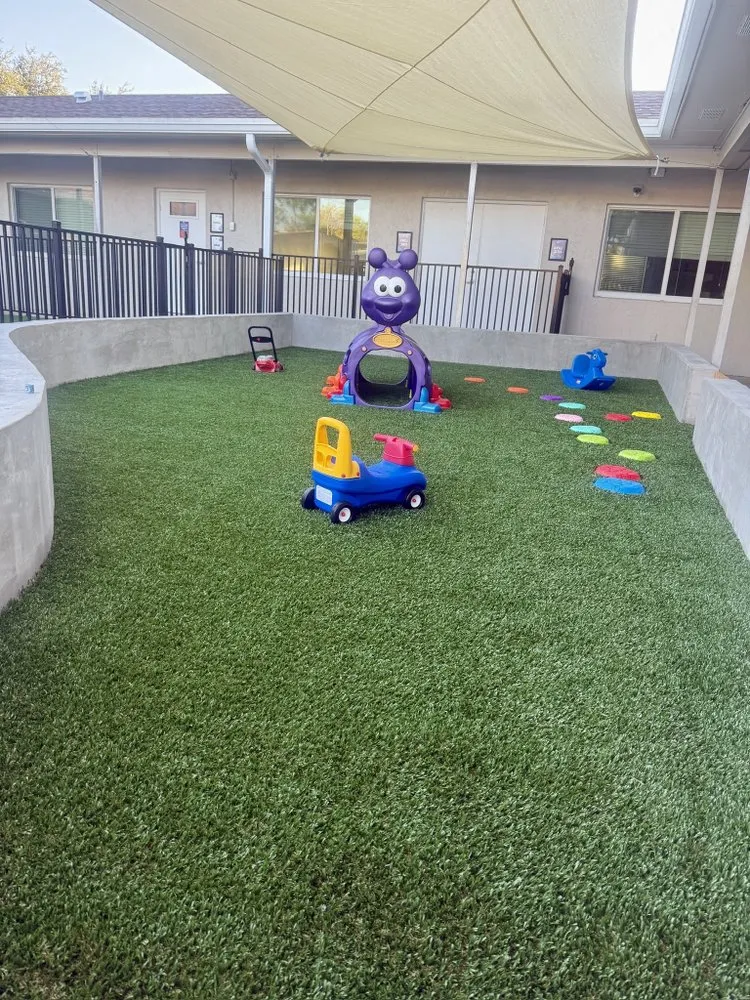 Affordable lawn care service in West Palm Beach, FL - ForeverLawn