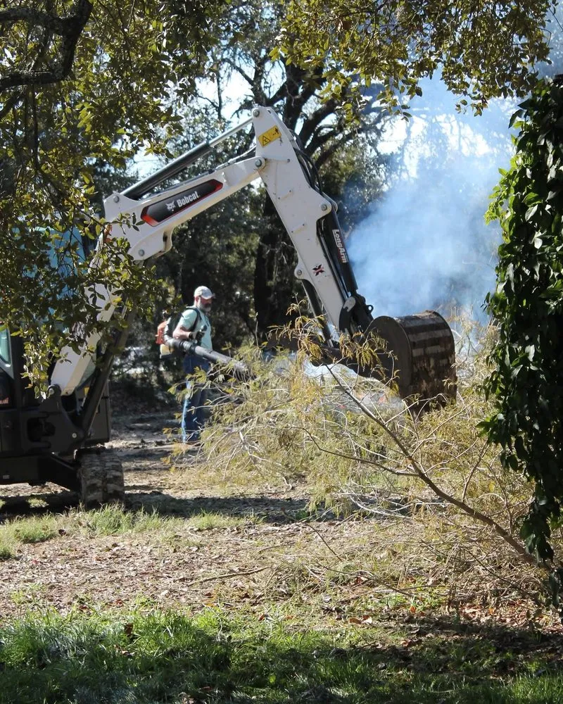 Reliable yard cleanup service experts serving San Antonio, TX - Forged Tree Service