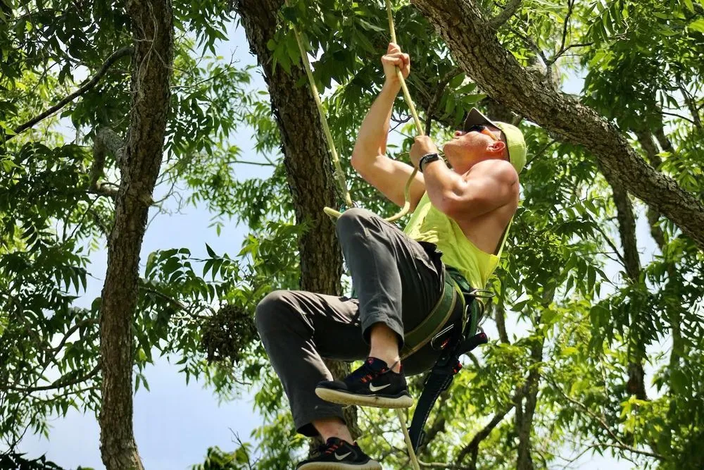 Custom landscape installation for year-round maintenance across San Antonio, TX - Forged Tree Service