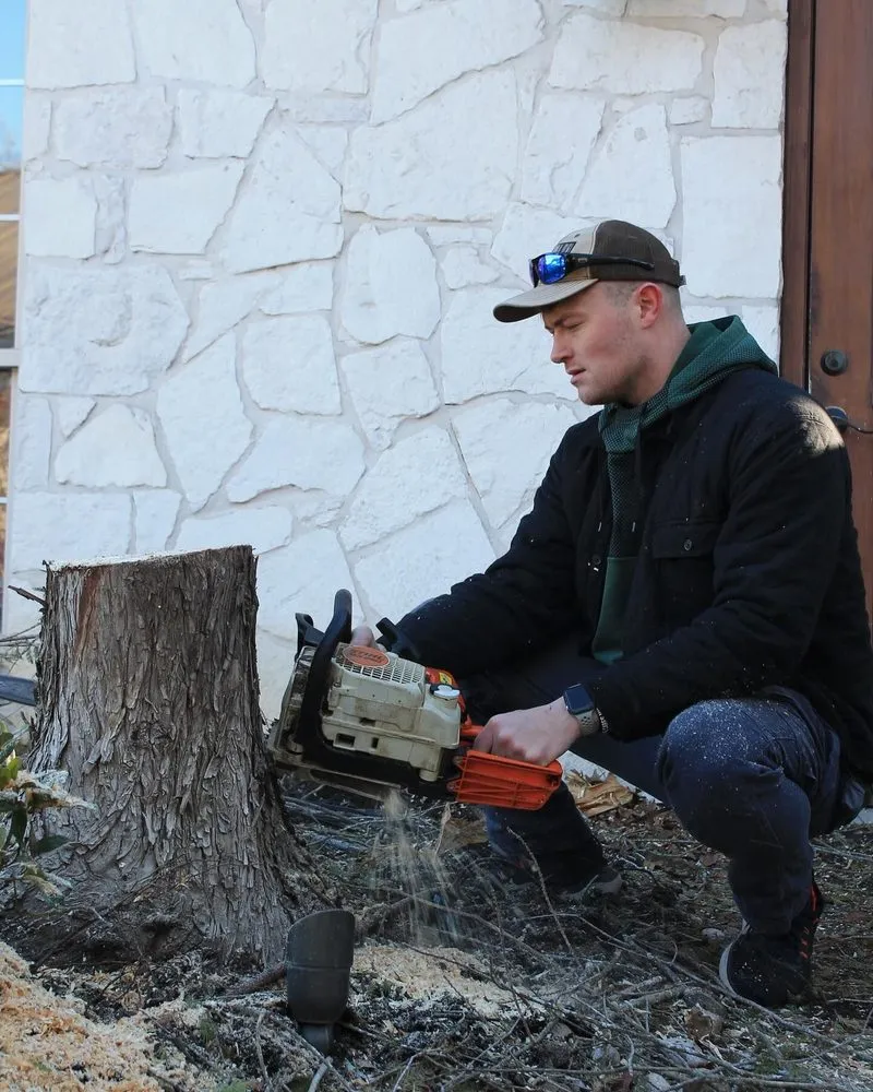 Affordable outdoor landscaping for outdoor upgrades in San Antonio, TX by Forged Tree Service