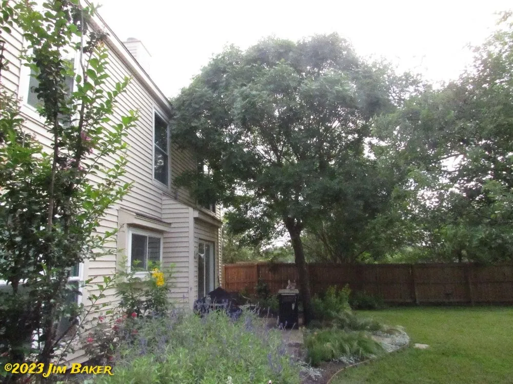 Expert garden landscaping for outdoor upgrades in San Antonio, TX by Forged Tree Service