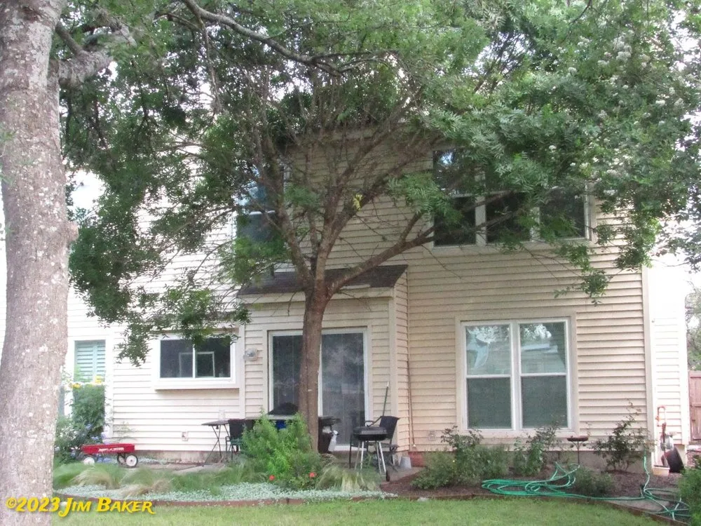 Expert landscaping services in San Antonio, TX by Forged Tree Service