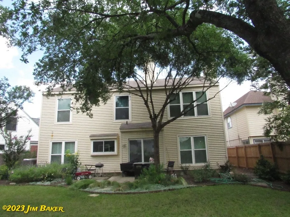 Professional lawn care service in San Antonio, TX by Forged Tree Service