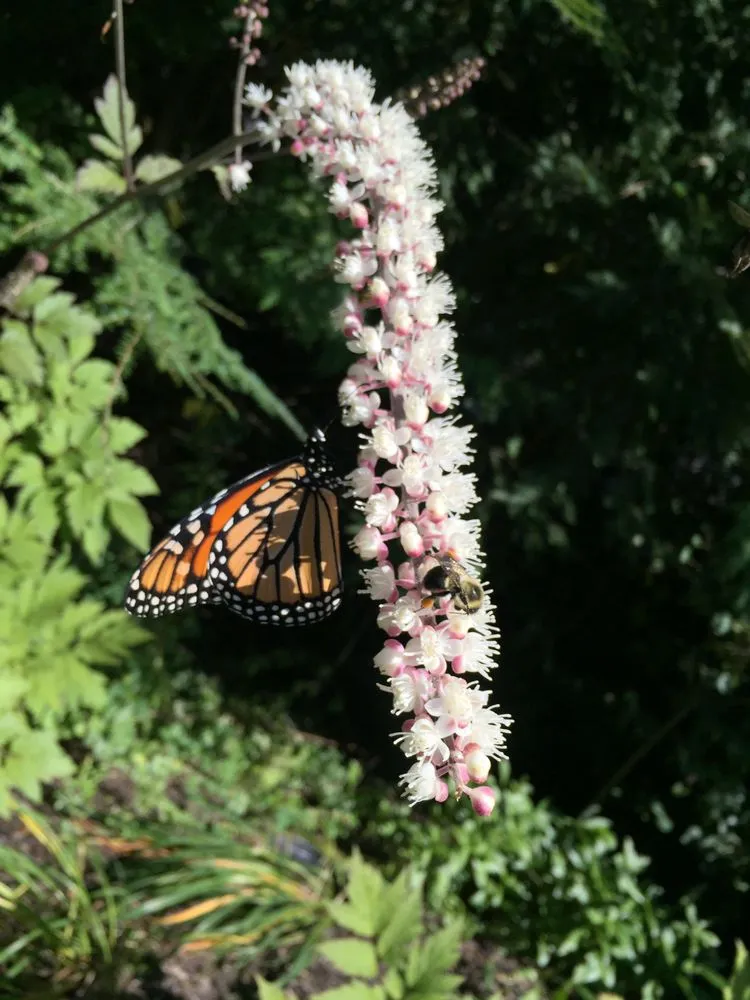 Custom landscape installation in Harbor Springs, MI by Forget Me Not Property Management