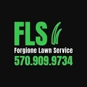 Trusted residential landscaping for beautiful yards in Scranton, PA by Forgione Lawn Service